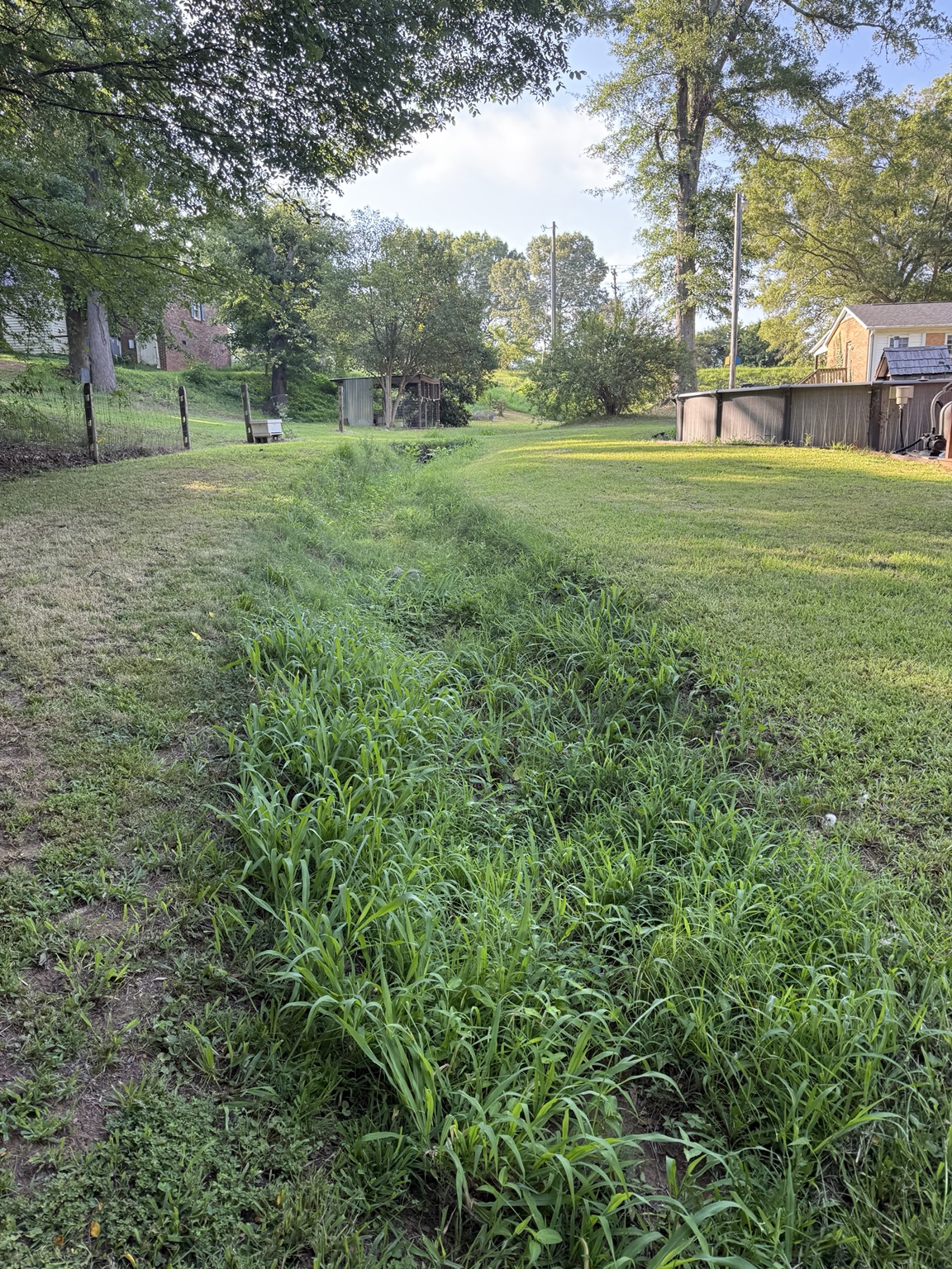 Drainage area before site work